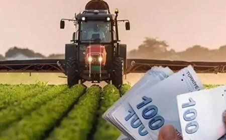 Çiftçilere 350,9 milyon liralık destek ödemesi başladı