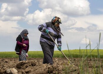 Çiftçi borç batağında, Ziraat Bankası’nın faiz geliri rekor kırdı