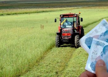 Çiftçilere 129,3 Milyon Liralık Destek Ödemesi Hesaplara Aktarılıyor