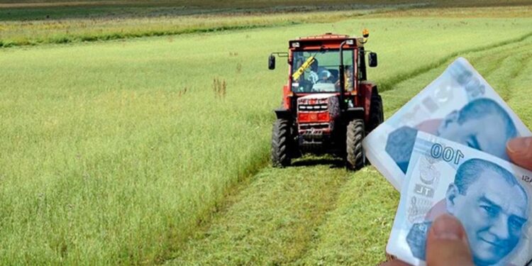 Çiftçilere 129,3 Milyon Liralık Destek Ödemesi Hesaplara Aktarılıyor